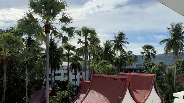 Palm trees over a temple roof
